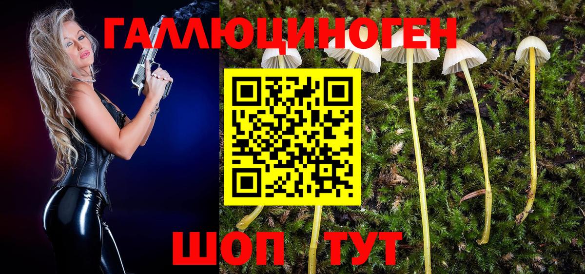 Псилоцибиновые грибы ЛСД Муравленко